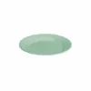plato de plastico duro